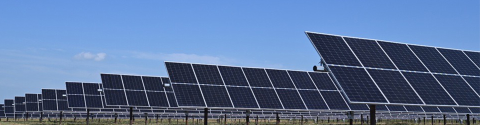 Rows of solar panels. 