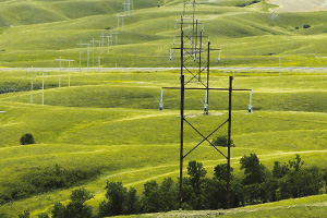 a green field with power poles