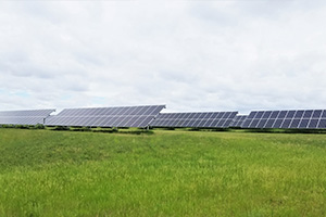 solar panels