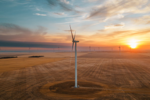 windmill in a field