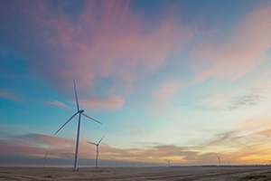 windmill in a field