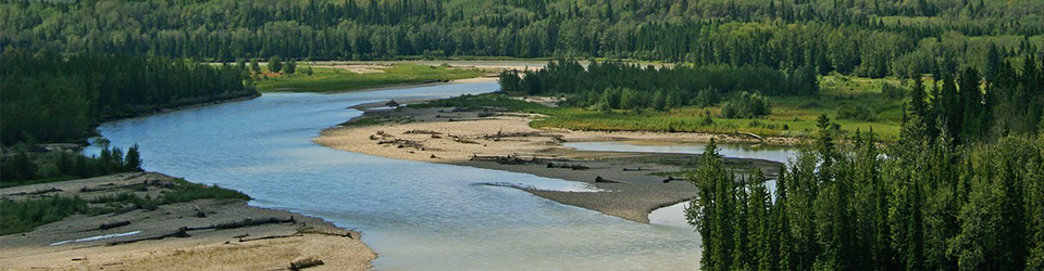 river delta
