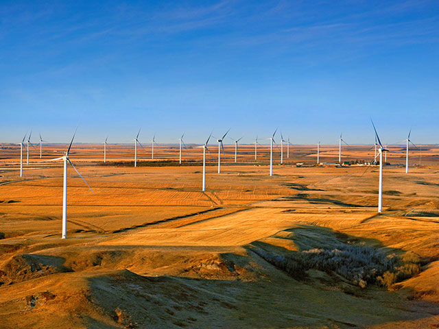 Wind turbines in field