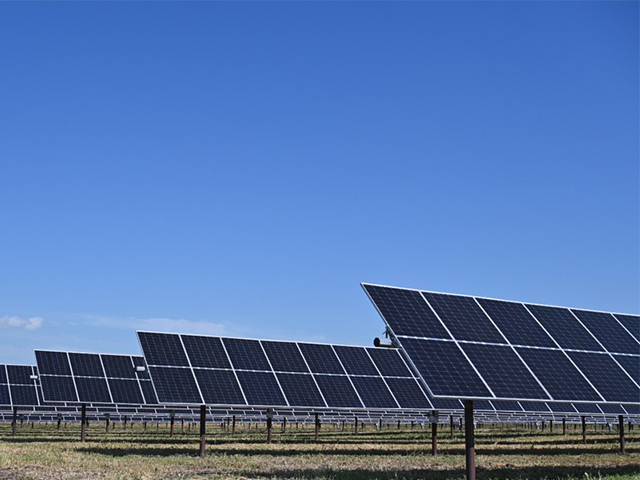 Rows of solar panels