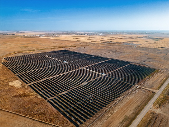 Aerial view of rows of solar panels.